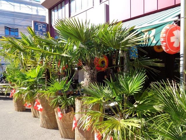 zmb-dsc00172