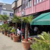 k-IMG_5916