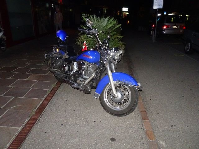 k-dsc01053